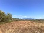 Teren intravilan 55 Ari Sacalaseni strada principala