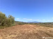Teren intravilan 55 Ari Sacalaseni strada principala