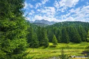 Teren intravilan panoramic 4.600 mp, view iconic Piatra Crai 