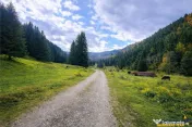 Teren intravilan panoramic 4.600 mp, view iconic Piatra Crai 