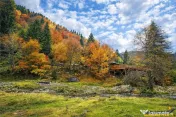 Teren intravilan panoramic 4.600 mp, view iconic Piatra Crai 