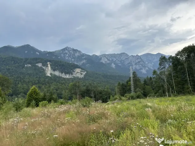 Nou! Investiție Sinaia-Cumpătu: Teren 1.724 mp cu Proiect