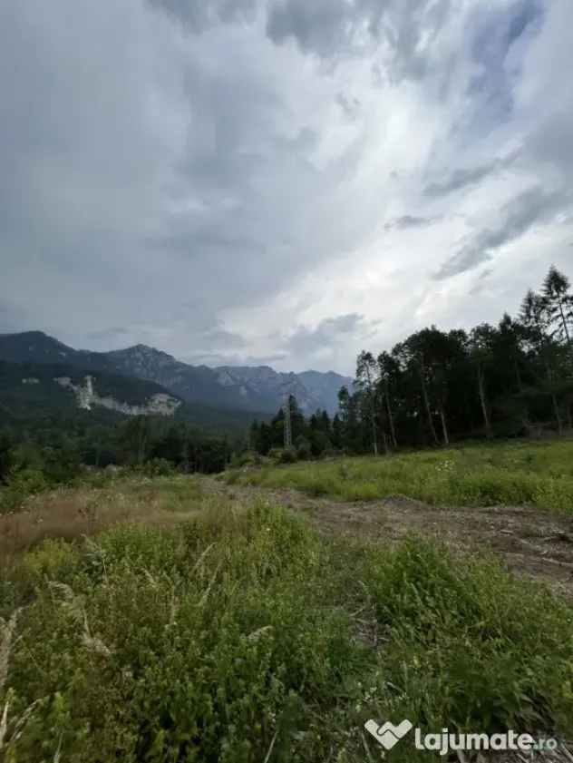 Nou! Investiție Sinaia-Cumpătu: Teren 1.724 mp cu Proiect