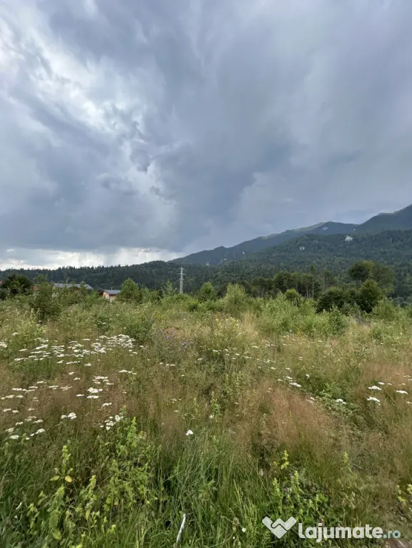Nou! Investiție Sinaia-Cumpătu: Teren 1.724 mp cu Proiect