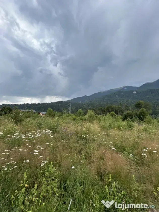 Nou! Investiție Sinaia-Cumpătu: Teren 1.724 mp cu Proiect