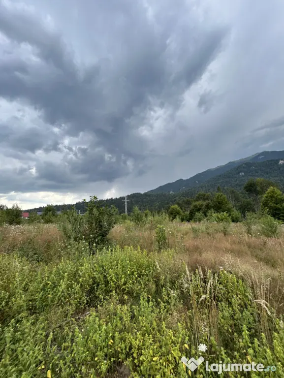 Nou! Investiție Sinaia-Cumpătu: Teren 1.724 mp cu Proiect
