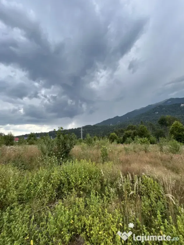 Nou! Investiție Sinaia-Cumpătu: Teren 1.724 mp cu Proiect