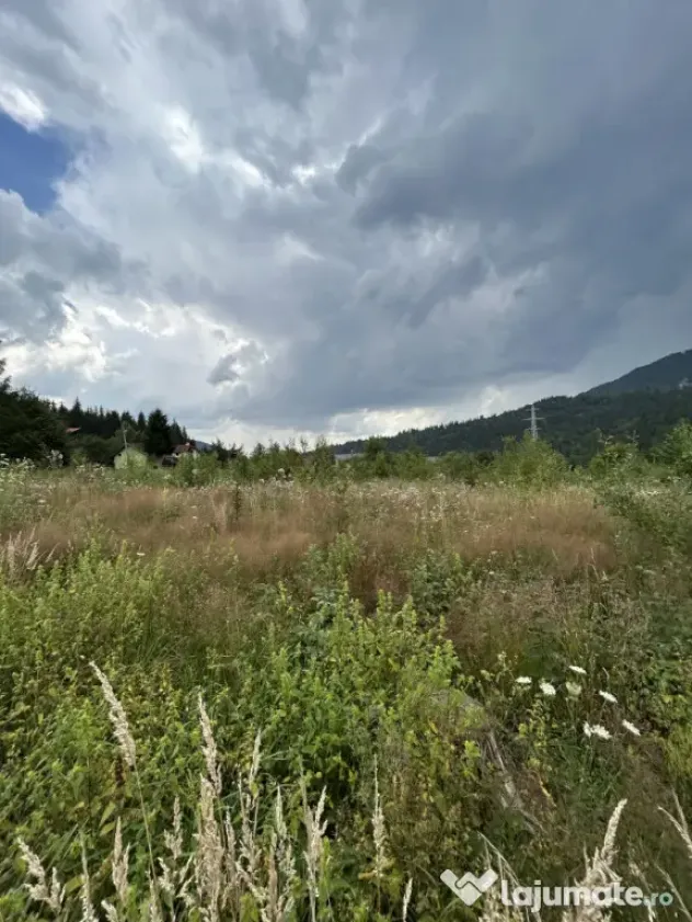 Nou! Investiție Sinaia-Cumpătu: Teren 1.724 mp cu Proiect