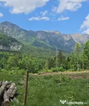 Nou! Investiție Sinaia-Cumpătu: Teren 1.724 mp cu Proiect 