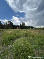 Nou! Investiție Sinaia-Cumpătu: Teren 1.724 mp cu Proiect 