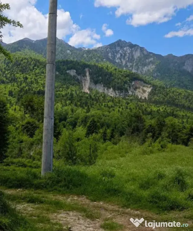 Nou! Investiție Sinaia-Cumpătu: Teren 1.724 mp cu Proiect