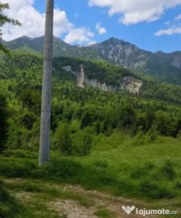 Nou! Investiție Sinaia-Cumpătu: Teren 1.724 mp cu Proiect