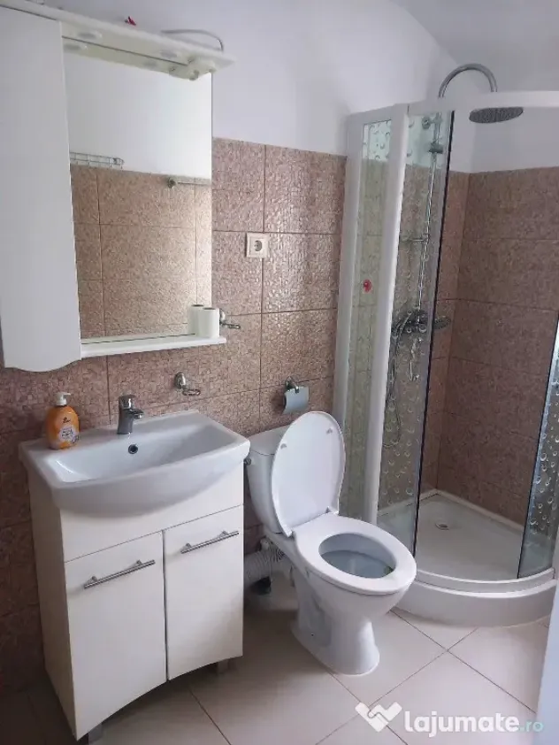 Casă in vanzare Vaslui teren 1100 mp 114 mp constructie 2 camere