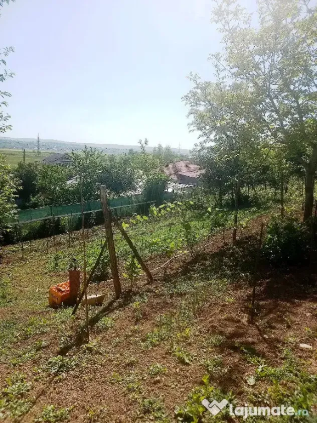 Casă in vanzare Vaslui teren 1100 mp 114 mp constructie 2 camere