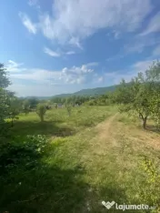 Teren intravilan 25 ari Tauti de sus - posibilitate extinder 