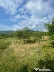 Teren intravilan 25 ari Tauti de sus - posibilitate extinder 