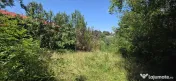 Teren 4.519 mp intravilan de vanzare in Breaza