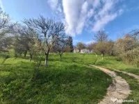 Moșia boierească din vârf de deal, Scorțeni - Prahova!