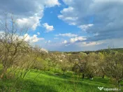 Moșia boierească din vârf de deal, Scorțeni - Prahova!