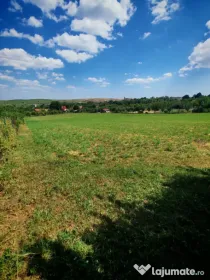 Teren 7694 mp Tureni, Cluj