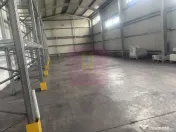 Hale industriale cu parcari multiple Bragadiru Sos Alexan... 