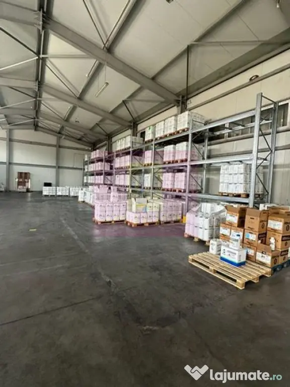 Hale industriale cu parcari multiple Bragadiru Sos Alexan... - Bragadiru (Bucuresti-Ilfov)