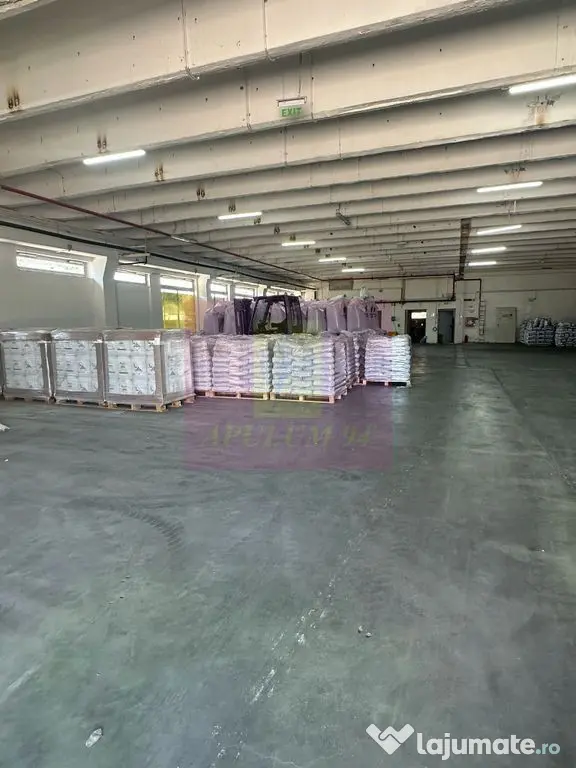 Hale industriale cu parcari multiple Bragadiru Sos Alexan... - Bragadiru (Bucuresti-Ilfov)