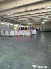 Hale industriale cu parcari multiple Bragadiru Sos Alexan... 