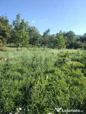 Poveste de vis lângă Cheia — teren cu casă bătrâneasc 