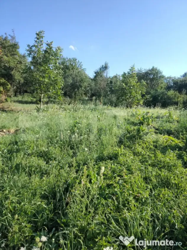 Poveste de vis lângă Cheia — teren cu casă bătrâneasc