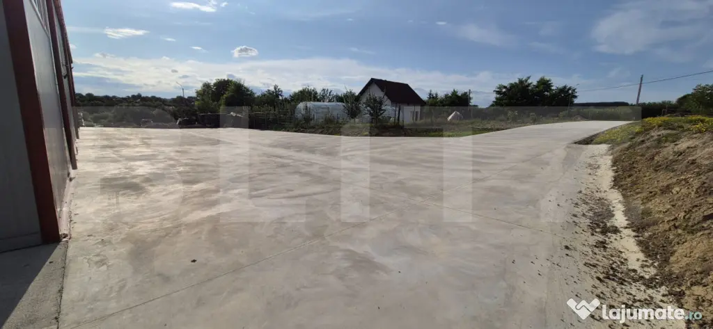 Hală depozitare/productie, 340 mp, Mitocasi