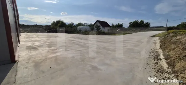 Hală depozitare/productie, 340 mp, Mitocasi