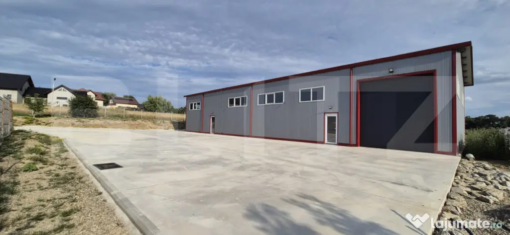 Hală depozitare/productie, 340 mp, Mitocasi