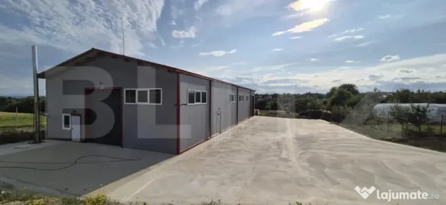 Hală depozitare/productie, 340 mp, Mitocasi