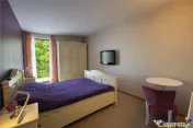 Casa solida,farmec autentic,echipata,garaj incalzit,pod,curt 