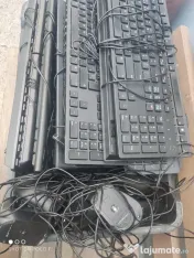 Vand angro 400 de tastaturi si mouse-uri 