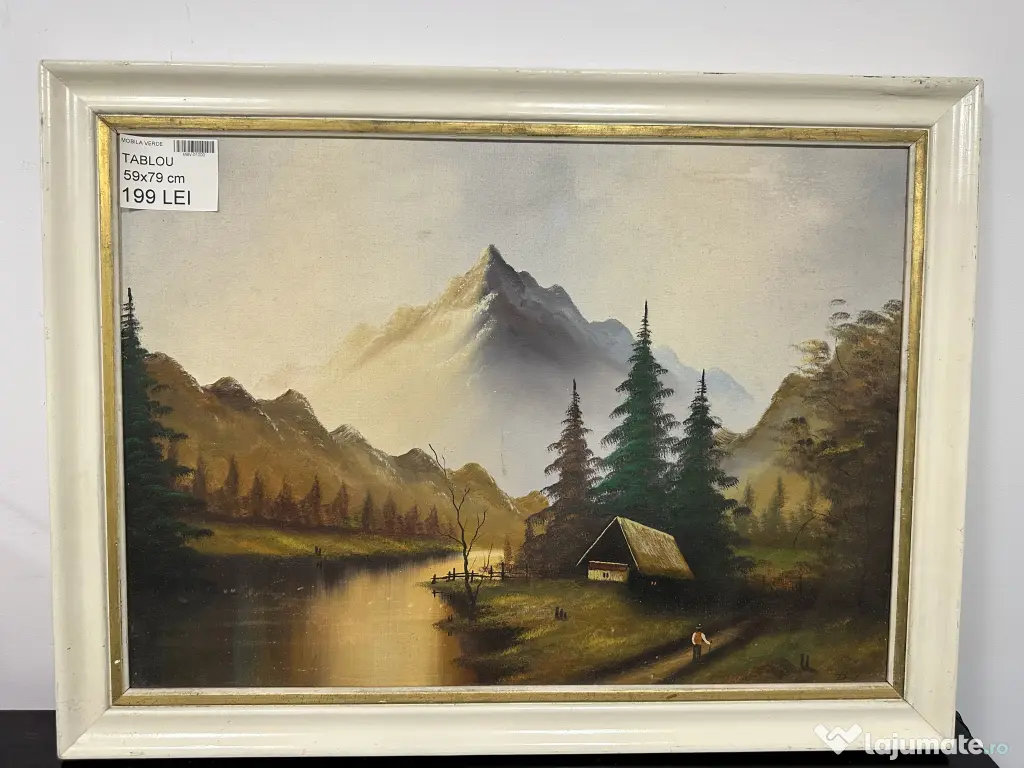 6 buc Tablouri Diverse Ilustratii; Tablou Vintage cu Rama; Ilustratii; Picturi