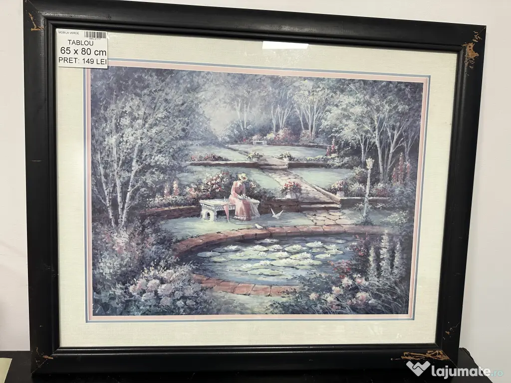 6 buc Tablouri Diverse Ilustratii; Tablou Vintage cu Rama; Ilustratii; Picturi