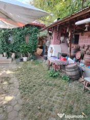 Casă cu teren, livadă, lac și izvor - ideală pentru locu