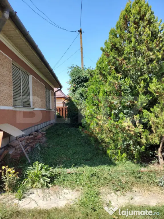 Casă cu teren, livadă, lac și izvor - ideală pentru locu