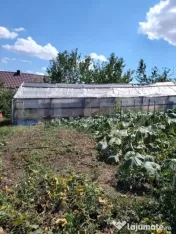 Casă cu teren, livadă, lac și izvor - ideală pentru locu