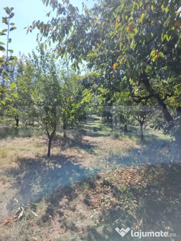 Casă cu teren, livadă, lac și izvor - ideală pentru locu