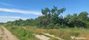 Teren 3500 mp, intravilan, pretabil case, Săbăreni 