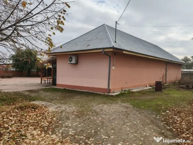 Spatiu comercial Sat Otetoaia, comuna Lunca Banului, Husi...