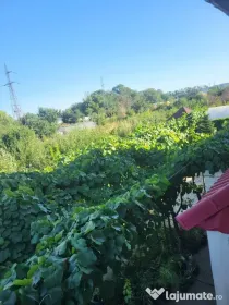 TEREN INTRAVILAN 4.392 MP CU CONSTRUCȚIE – NANOV, TELEORMAN