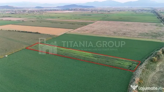 Teren extravilan, 8700 mp, pretabil agricultură sau inve...