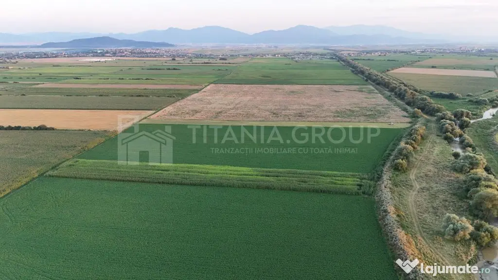Teren extravilan, 8700 mp, pretabil agricultură sau inve...