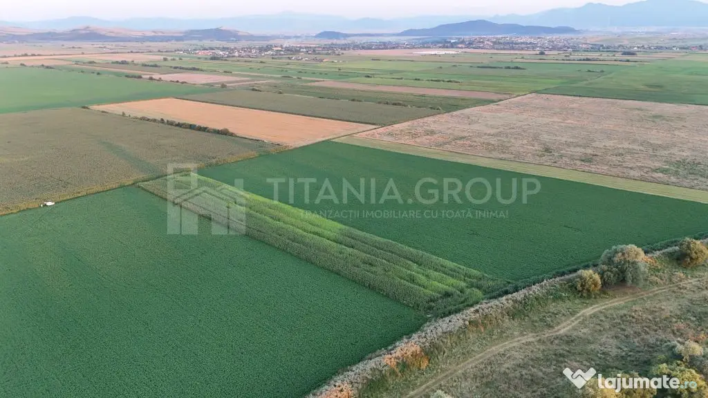 Teren extravilan, 8700 mp, pretabil agricultură sau inve...