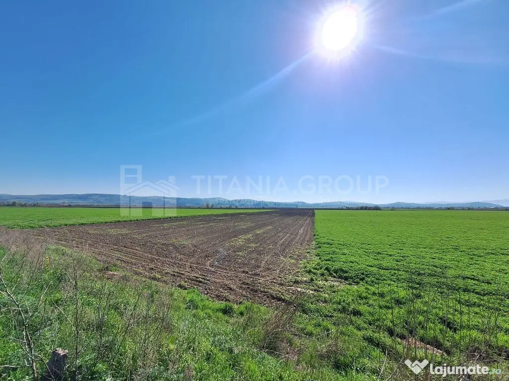 Teren extravilan, 8700 mp, pretabil agricultură sau inve...