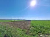Teren extravilan, 8700 mp, pretabil agricultură sau inve...